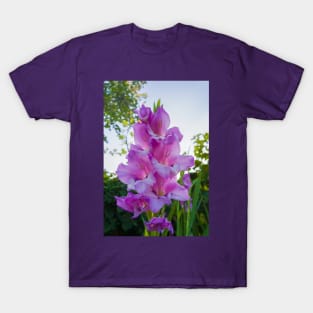 gladiolus T-Shirt